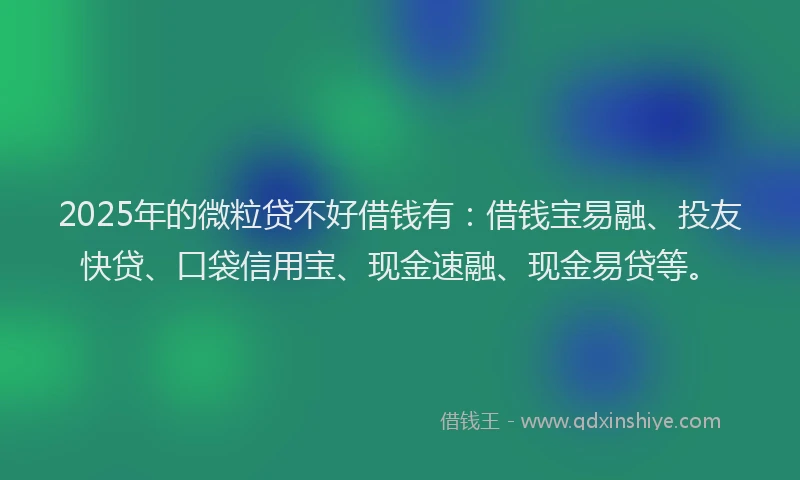 2025年的微粒贷不好借钱有：借钱宝易融、投友快贷、口袋信用宝、现金速融、现金易贷等。