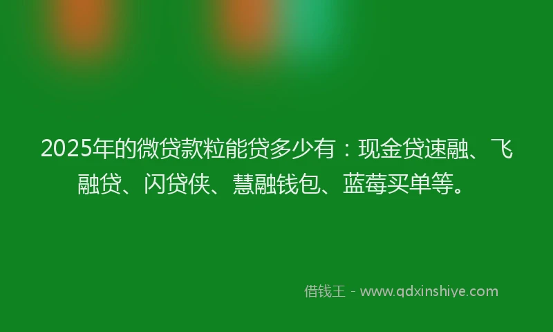 2025年的微贷款粒能贷多少有：现金贷速融、飞融贷、闪贷侠、慧融钱包、蓝莓买单等。