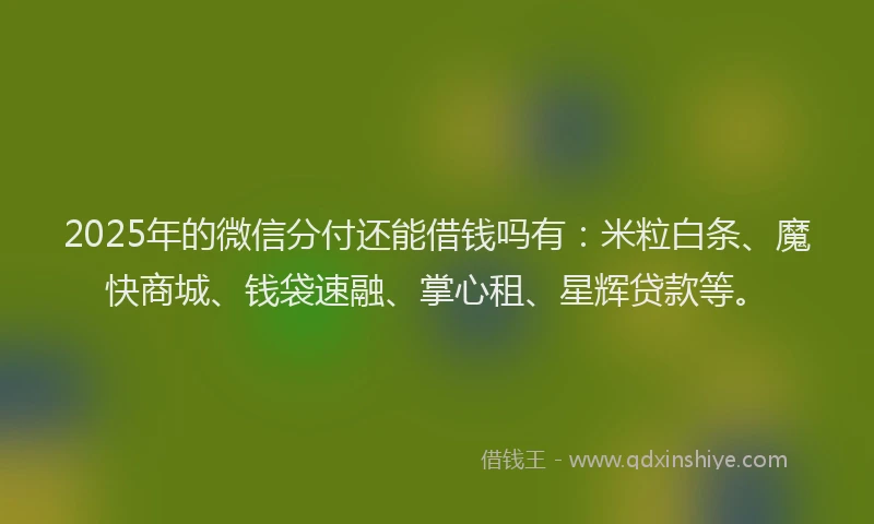 2025年的微信分付还能借钱吗有：米粒白条、魔快商城、钱袋速融、掌心租、星辉贷款等。