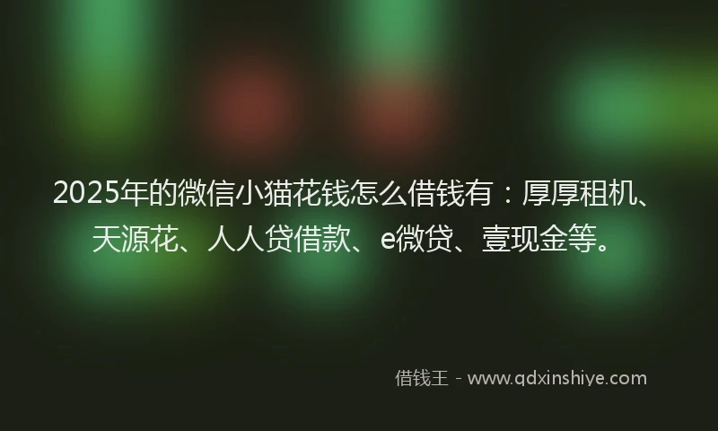 2025年的微信小猫花钱怎么借钱有：厚厚租机、天源花、人人贷借款、e微贷、壹现金等。