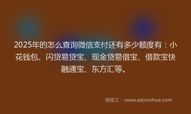 2025年的怎么查询微信支付还有多少额度有：小花钱包、闪贷易贷宝、现金贷易借宝、借款宝快融通宝、东方汇等。