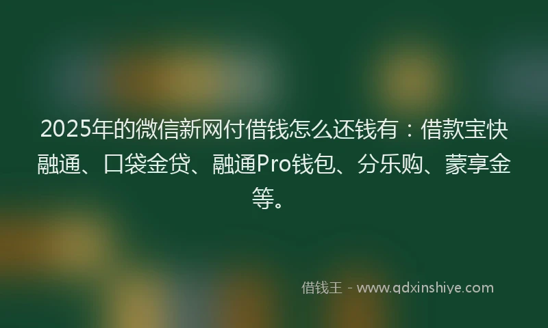 2025年的微信新网付借钱怎么还钱有：借款宝快融通、口袋金贷、融通Pro钱包、分乐购、蒙享金等。