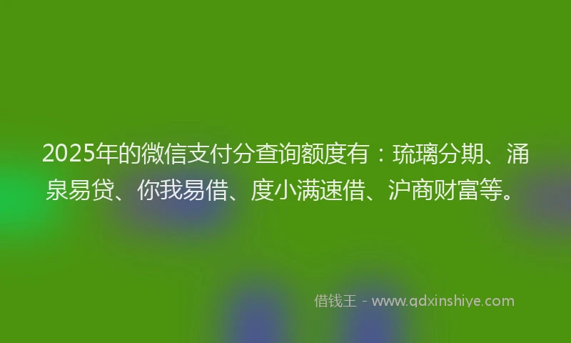 2025年的微信支付分查询额度有：琉璃分期、涌泉易贷、你我易借、度小满速借、沪商财富等。