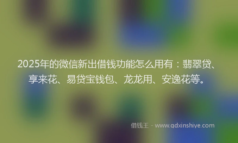 2025年的微信新出借钱功能怎么用有：翡翠贷、享来花、易贷宝钱包、龙龙用、安逸花等。
