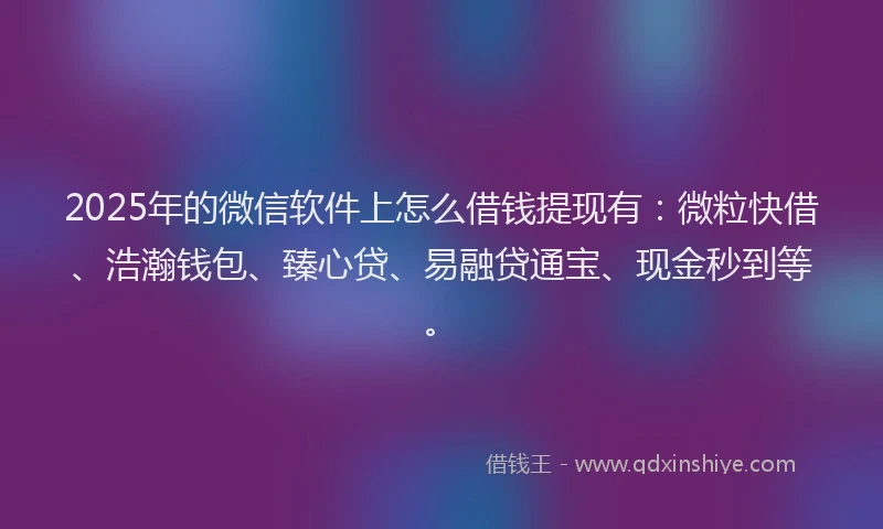 2025年的微信软件上怎么借钱提现有：微粒快借、浩瀚钱包、臻心贷、易融贷通宝、现金秒到等。