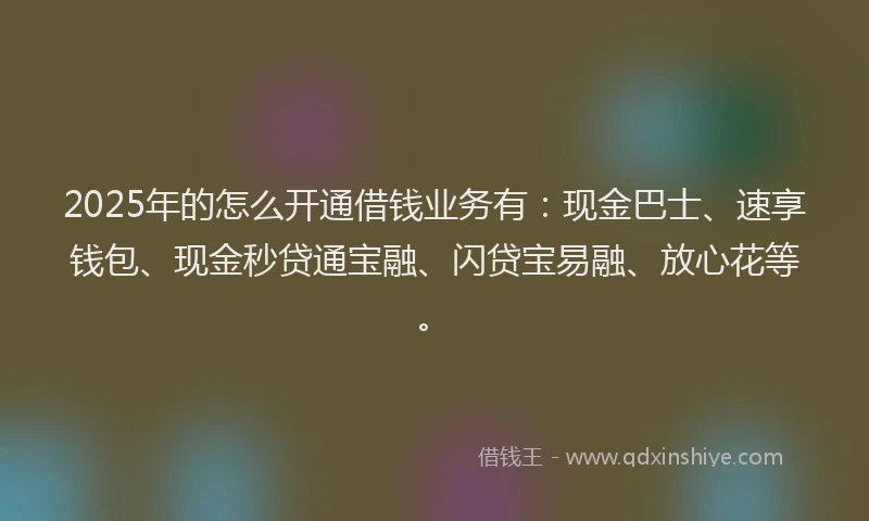 2025年的怎么开通借钱业务有：现金巴士、速享钱包、现金秒贷通宝融、闪贷宝易融、放心花等。