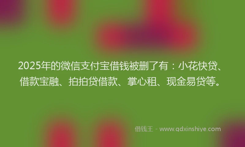2025年的微信支付宝借钱被删了有：小花快贷、借款宝融、拍拍贷借款、掌心租、现金易贷等。