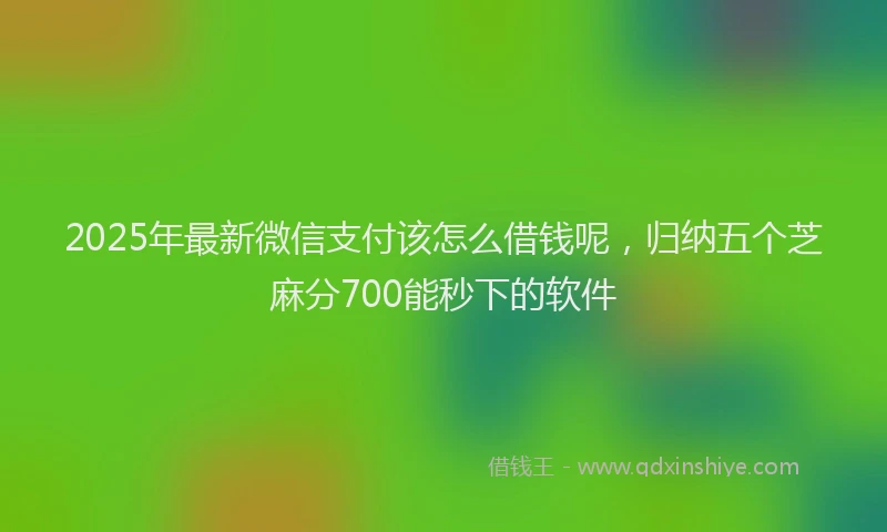 2025年最新微信支付该怎么借钱呢，归纳五个芝麻分700能秒下的软件