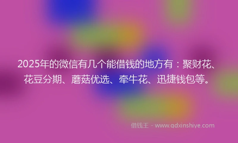 2025年的微信有几个能借钱的地方有：聚财花、花豆分期、蘑菇优选、牵牛花、迅捷钱包等。