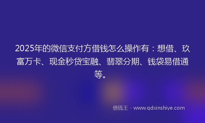 2025年的微信支付方借钱怎么操作有：想借、玖富万卡、现金秒贷宝融、翡翠分期、钱袋易借通等。