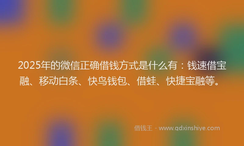 2025年的微信正确借钱方式是什么有：钱速借宝融、移动白条、快鸟钱包、借蛙、快捷宝融等。
