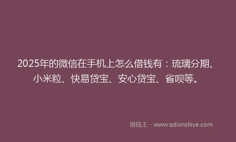 2025年的微信在手机上怎么借钱有：琉璃分期、小米粒、快易贷宝、安心贷宝、省呗等。