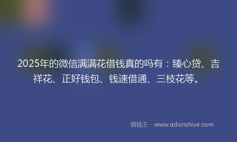 2025年的微信满满花借钱真的吗有：臻心贷、吉祥花、正好钱包、钱速借通、三枝花等。