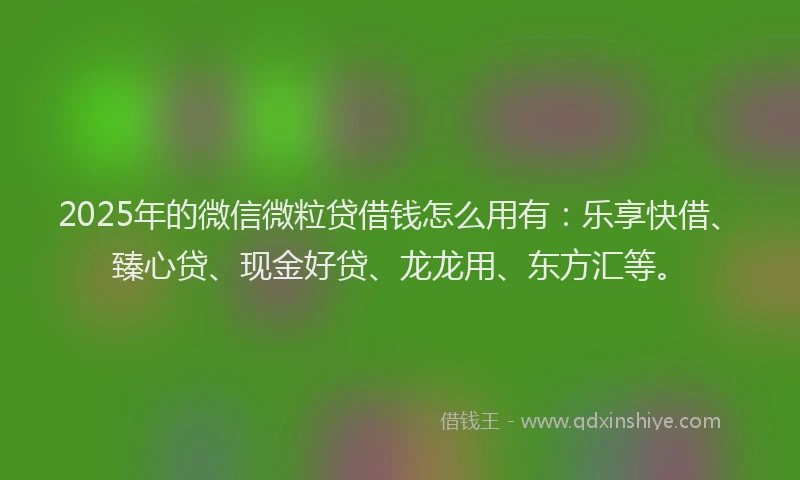 2025年的微信微粒贷借钱怎么用有：乐享快借、臻心贷、现金好贷、龙龙用、东方汇等。