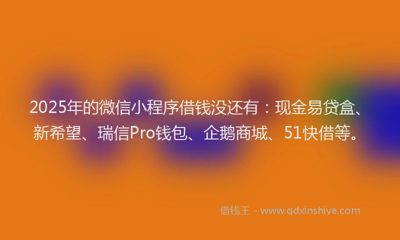 2025年的微信小程序借钱没还有：现金易贷盒、新希望、瑞信Pro钱包、企鹅商城、51快借等。