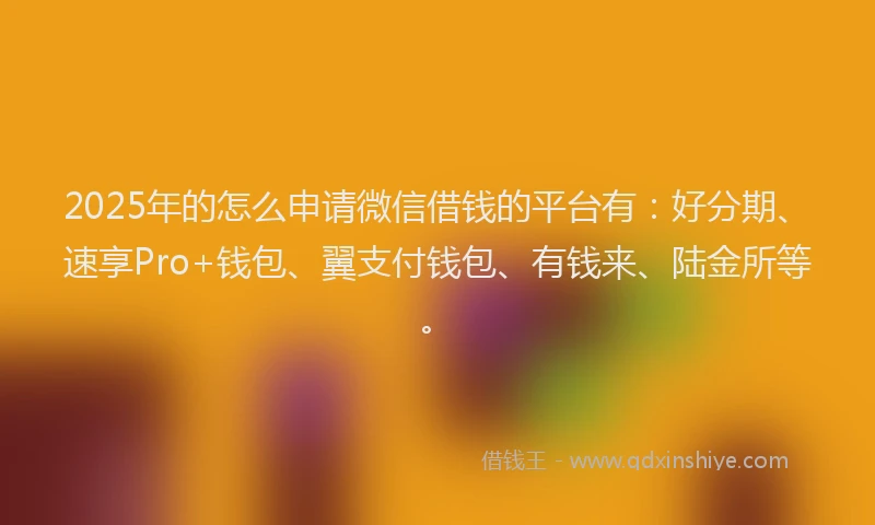 2025年的怎么申请微信借钱的平台有：好分期、速享Pro+钱包、翼支付钱包、有钱来、陆金所等。