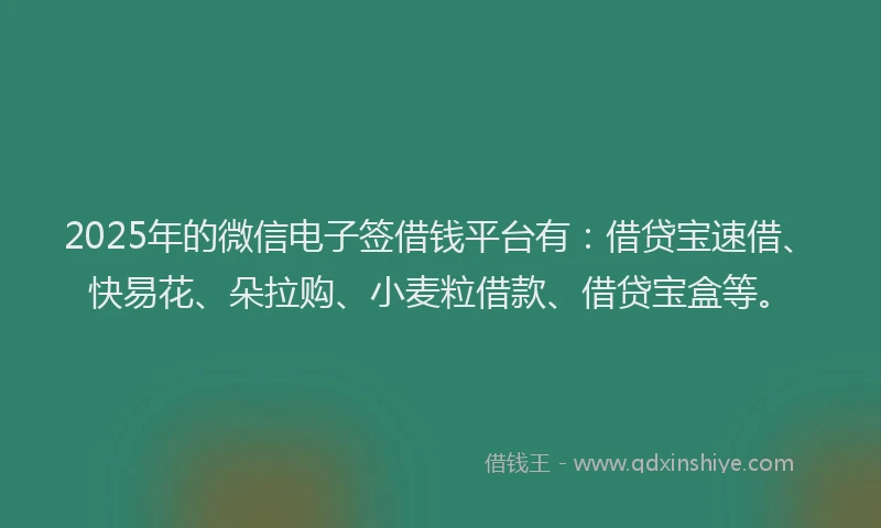 2025年的微信电子签借钱平台有：借贷宝速借、快易花、朵拉购、小麦粒借款、借贷宝盒等。