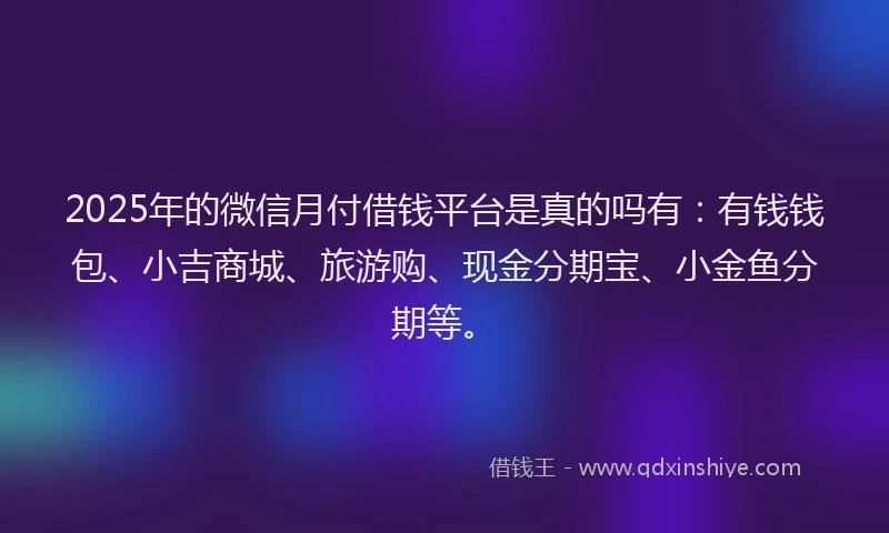 2025年的微信月付借钱平台是真的吗有：有钱钱包、小吉商城、旅游购、现金分期宝、小金鱼分期等。