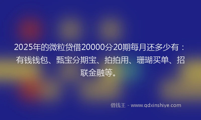 2025年的微粒贷借20000分20期每月还多少有：有钱钱包、甄宝分期宝、拍拍用、珊瑚买单、招联金融等。
