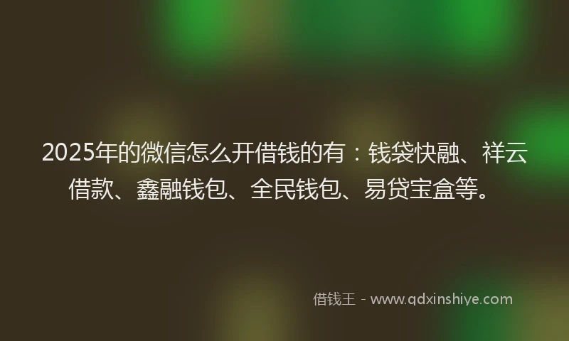2025年的微信怎么开借钱的有：钱袋快融、祥云借款、鑫融钱包、全民钱包、易贷宝盒等。