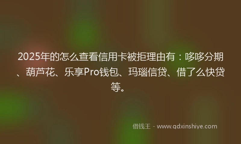 2025年的怎么查看信用卡被拒理由有：哆哆分期、葫芦花、乐享Pro钱包、玛瑙信贷、借了么快贷等。