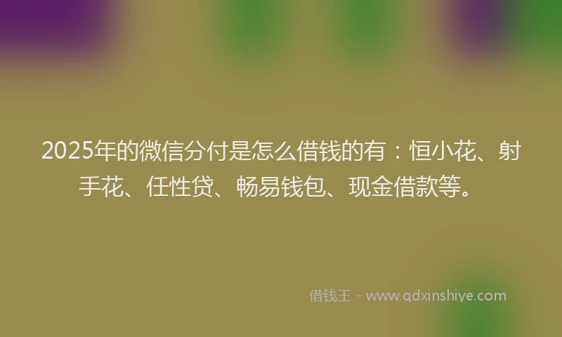 2025年的微信分付是怎么借钱的有：恒小花、射手花、任性贷、畅易钱包、现金借款等。