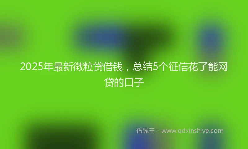 2025年最新徴粒贷借钱，总结5个征信花了能网贷的口子