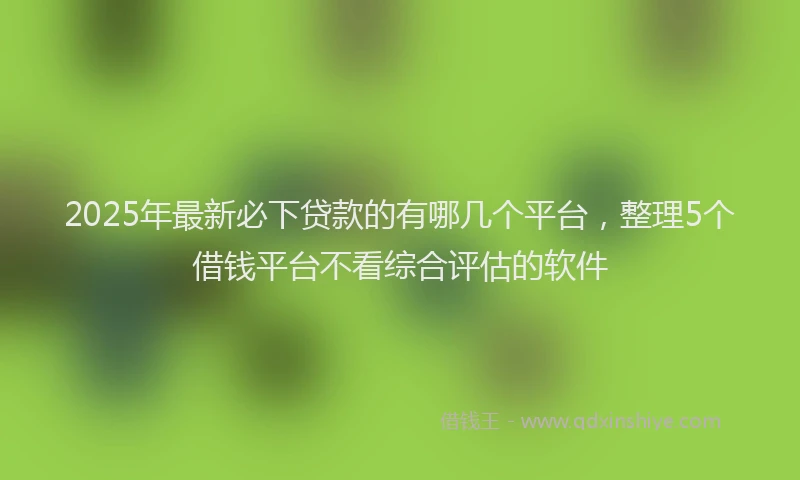 2025年最新必下贷款的有哪几个平台，整理5个借钱平台不看综合评估的软件