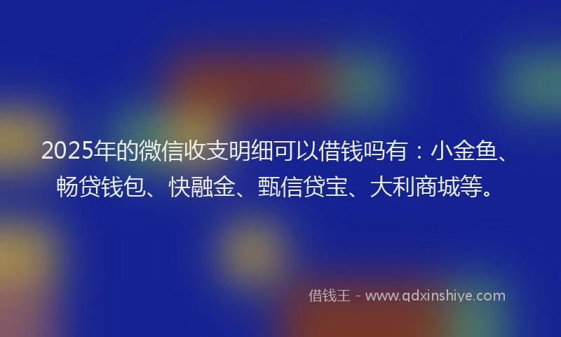 2025年的微信收支明细可以借钱吗有：小金鱼、畅贷钱包、快融金、甄信贷宝、大利商城等。