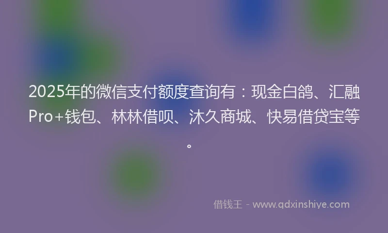 2025年的微信支付额度查询有：现金白鸽、汇融Pro+钱包、林林借呗、沐久商城、快易借贷宝等。