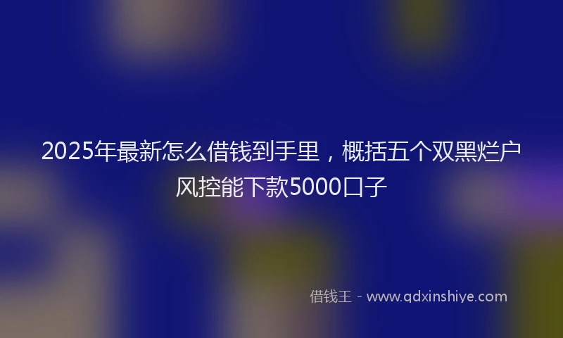 2025年最新怎么借钱到手里，概括五个双黑烂户风控能下款5000口子