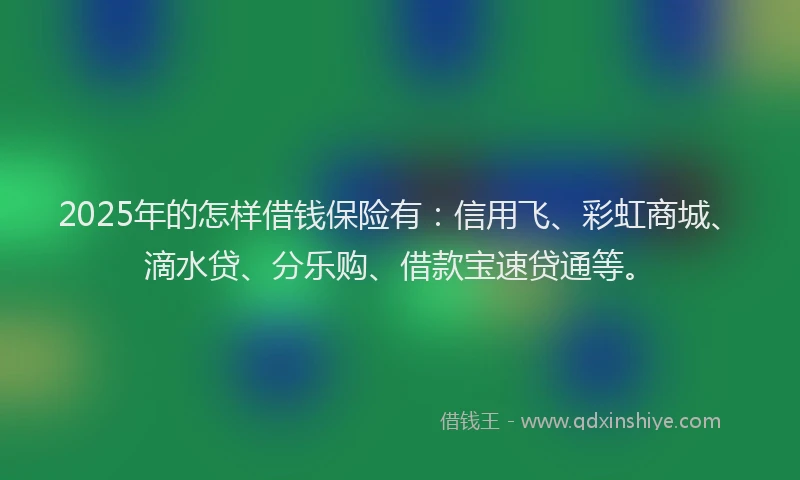 2025年的怎样借钱保险有：信用飞、彩虹商城、滴水贷、分乐购、借款宝速贷通等。