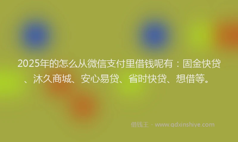 2025年的怎么从微信支付里借钱呢有：固金快贷、沐久商城、安心易贷、省时快贷、想借等。