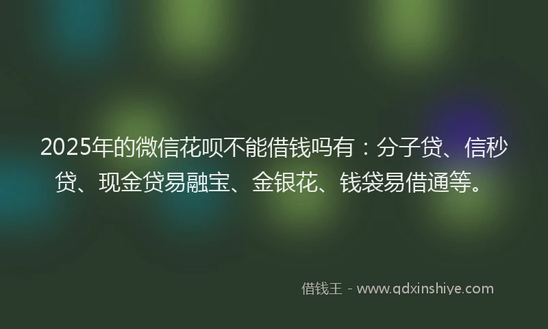 2025年的微信花呗不能借钱吗有：分子贷、信秒贷、现金贷易融宝、金银花、钱袋易借通等。