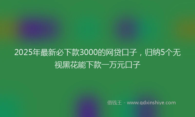 2025年最新必下款3000的网贷口子，归纳5个无视黑花能下款一万元口子