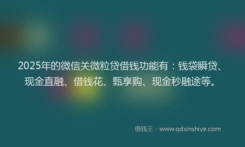 2025年的微信关微粒贷借钱功能有：钱袋瞬贷、现金直融、借钱花、甄享购、现金秒融途等。