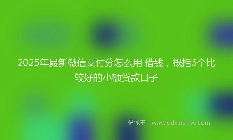 2025年最新微信支付分怎么用 借钱，概括5个比较好的小额贷款口子