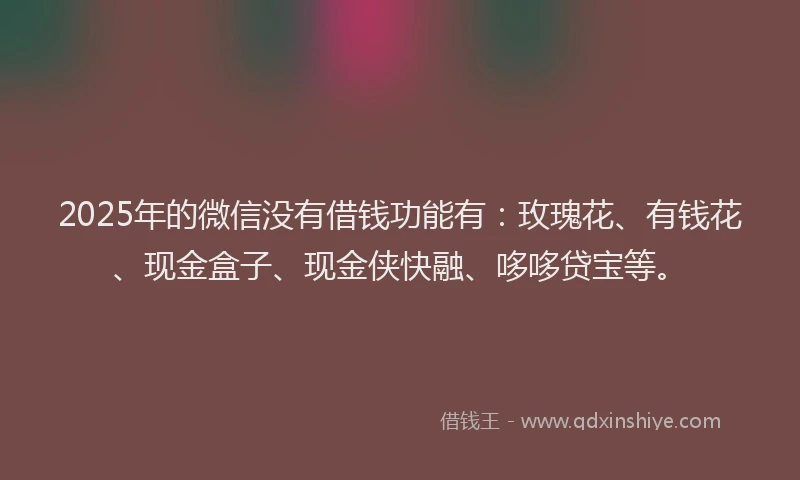 2025年的微信没有借钱功能有：玫瑰花、有钱花、现金盒子、现金侠快融、哆哆贷宝等。