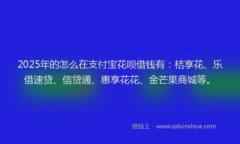 2025年的怎么在支付宝花呗借钱有：桔享花、乐借速贷、信贷通、惠享花花、金芒果商城等。