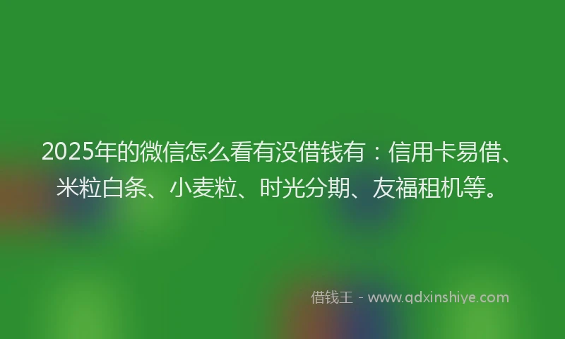 2025年的微信怎么看有没借钱有：信用卡易借、米粒白条、小麦粒、时光分期、友福租机等。