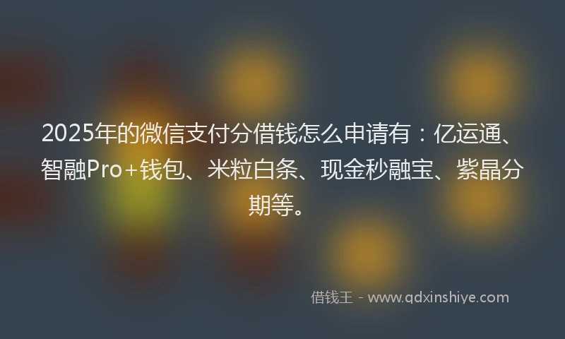 2025年的微信支付分借钱怎么申请有：亿运通、智融Pro+钱包、米粒白条、现金秒融宝、紫晶分期等。