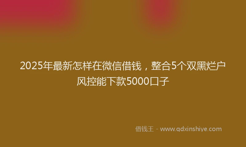 2025年最新怎样在微信借钱，整合5个双黑烂户风控能下款5000口子