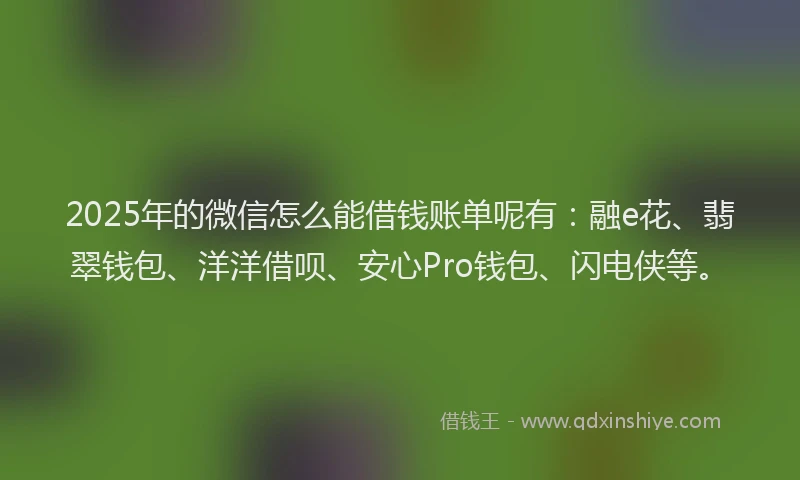 2025年的微信怎么能借钱账单呢有：融e花、翡翠钱包、洋洋借呗、安心Pro钱包、闪电侠等。