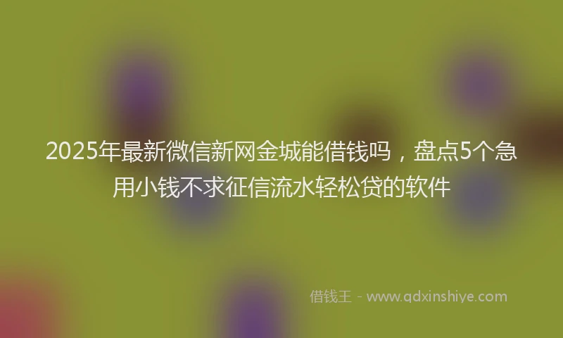 2025年最新微信新网金城能借钱吗，盘点5个急用小钱不求征信流水轻松贷的软件