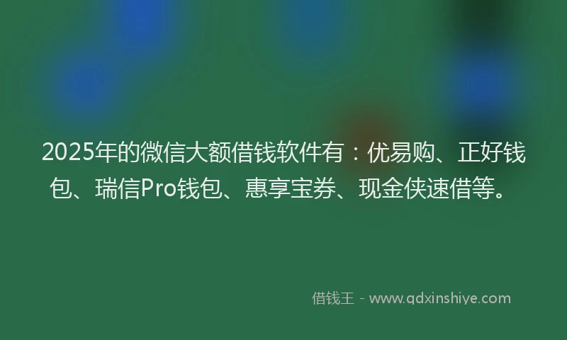 2025年的微信大额借钱软件有：优易购、正好钱包、瑞信Pro钱包、惠享宝券、现金侠速借等。