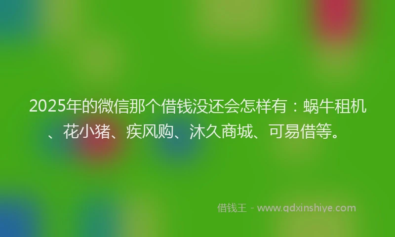 2025年的微信那个借钱没还会怎样有：蜗牛租机、花小猪、疾风购、沐久商城、可易借等。