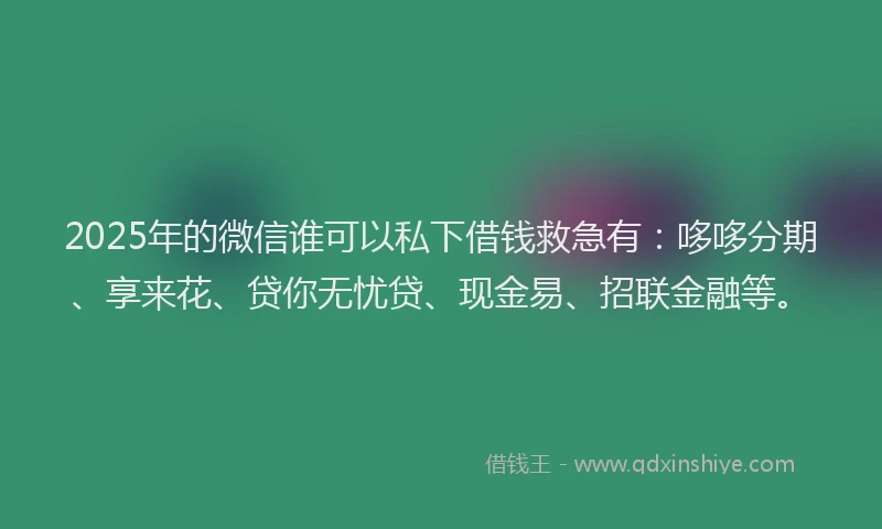 2025年的微信谁可以私下借钱救急有：哆哆分期、享来花、贷你无忧贷、现金易、招联金融等。