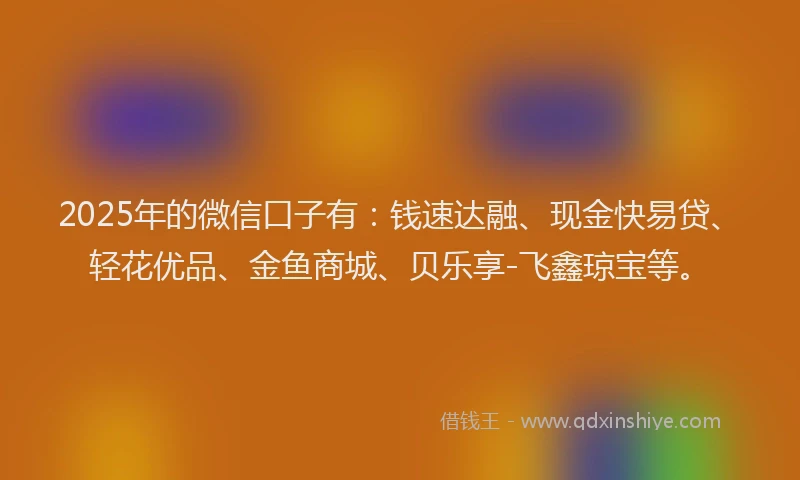 2025年的微信口子有：钱速达融、现金快易贷、轻花优品、金鱼商城、贝乐享-飞鑫琼宝等。