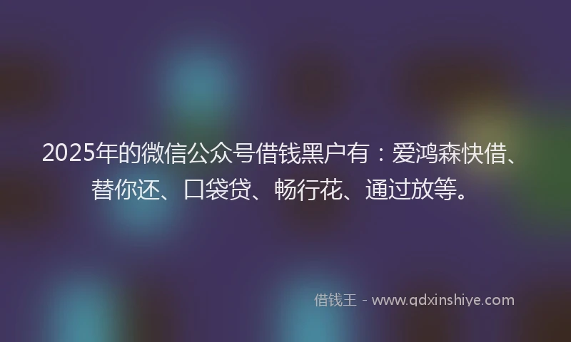 2025年的微信公众号借钱黑户有：爱鸿森快借、替你还、口袋贷、畅行花、通过放等。