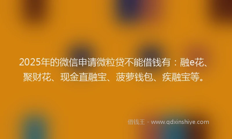 2025年的微信申请微粒贷不能借钱有：融e花、聚财花、现金直融宝、菠萝钱包、疾融宝等。